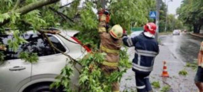 Наткнул глаз веткой что делать болит чем закапать первая помощь