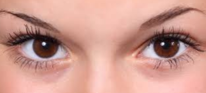 Гнойный ячмень на глазу как лечить застыл как болячка